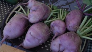 Kinsmen Farmers' Market de Cornwall