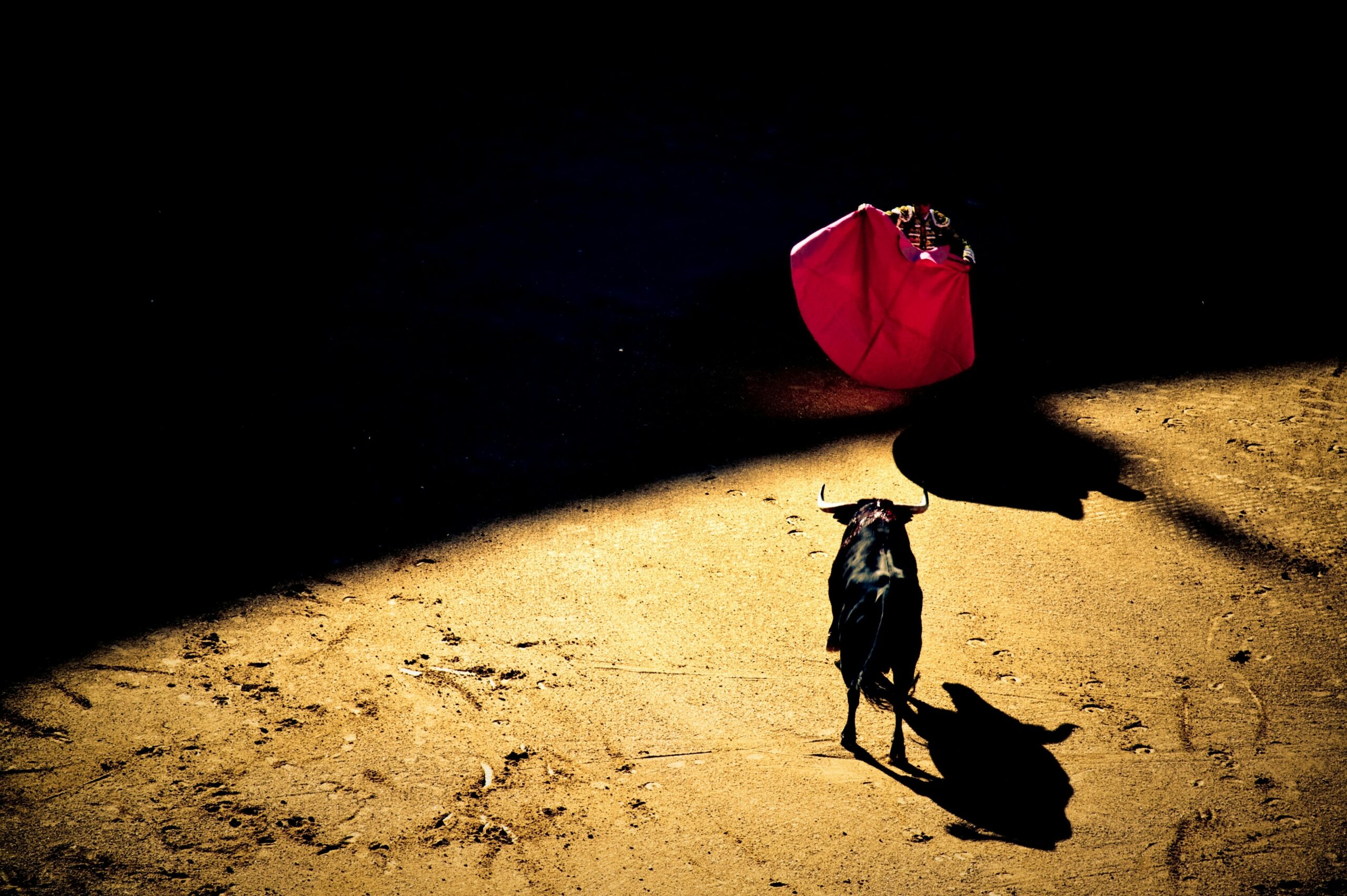 Photo de Giovanni Calia sur Unsplash