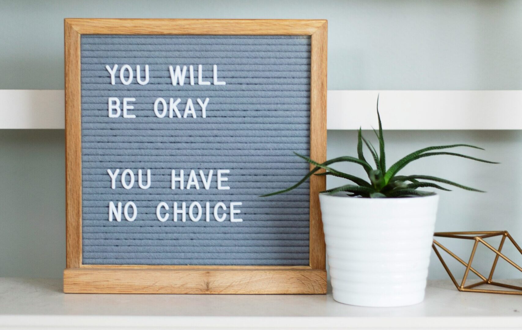 Photo de Kari Shea sur Unsplash