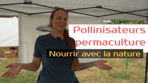 Pollinisateurs et permaculture