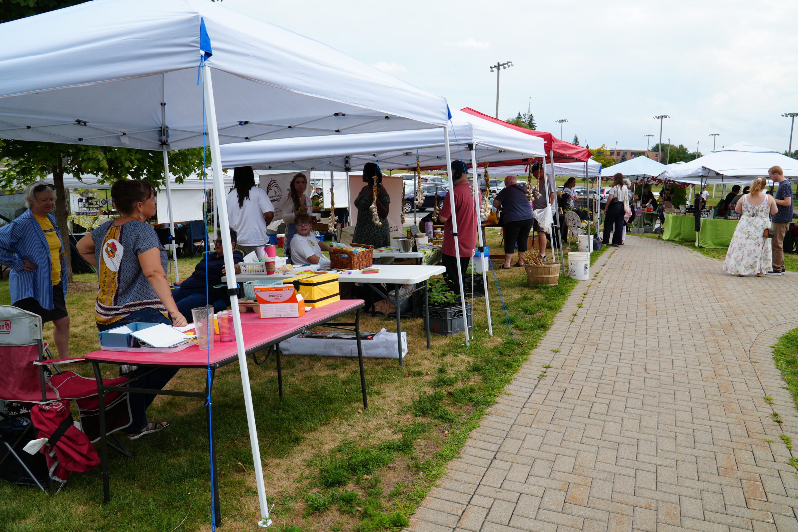 Festival du miel et pollinisateur d’Alexandria pour la connexion et l’éducation