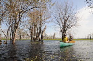Le marais de Minesing. Crédit : Nottawasaga Valley Conservation Authority