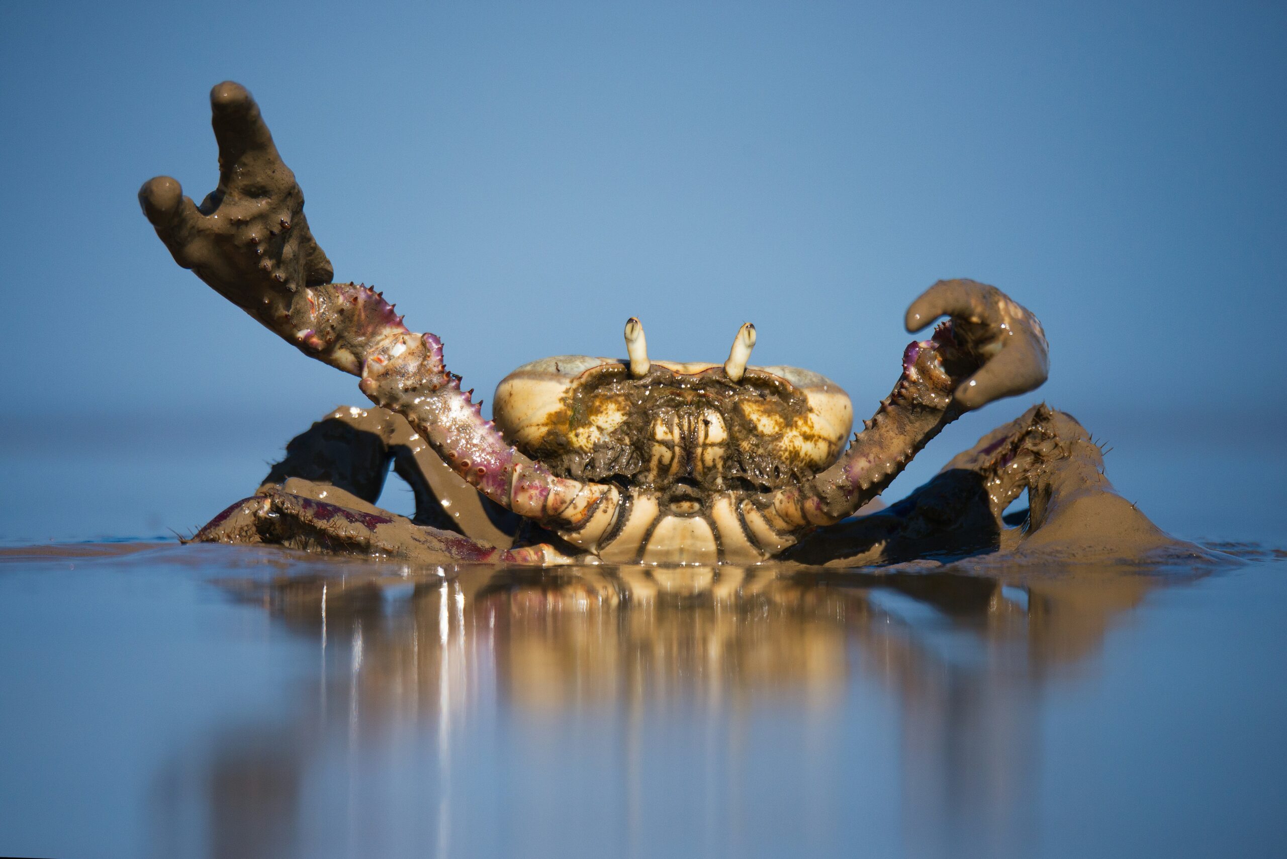 Photo de Vincent van Zalinge sur Unsplash