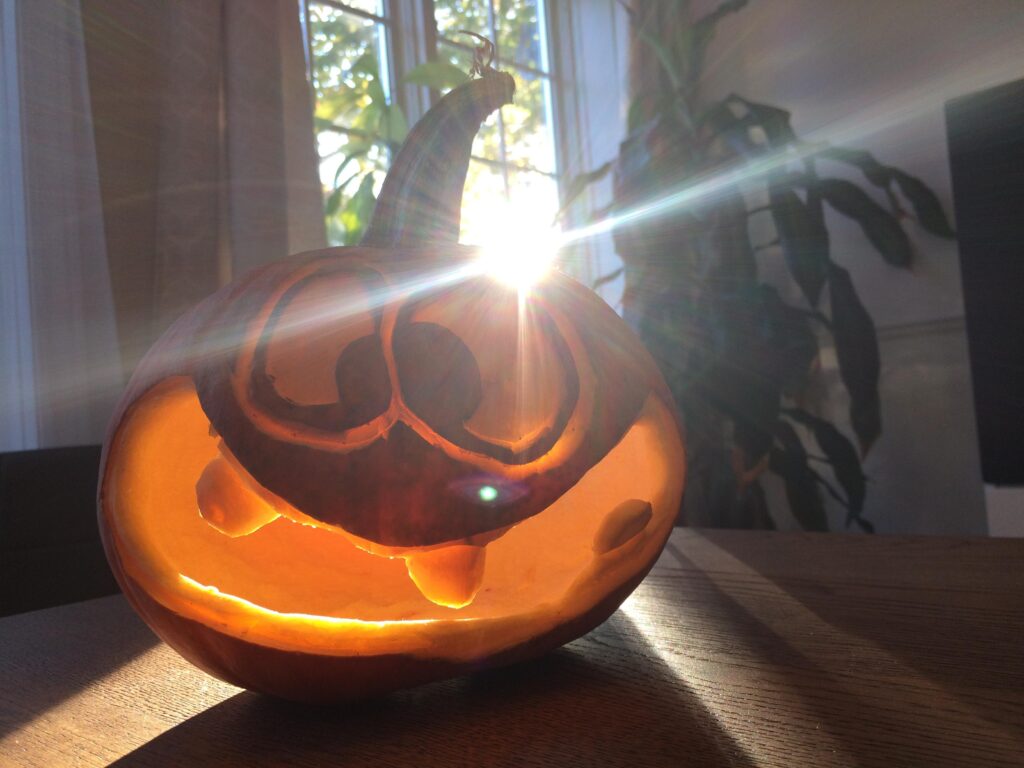 Citrouille au soleil