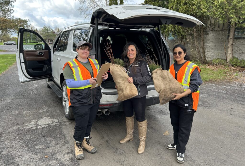 Personnes qui distribuent des arbres