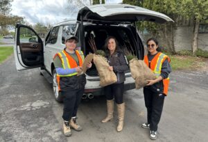 Personnes qui distribuent des arbres