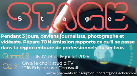 Publicité stage d'été 2026