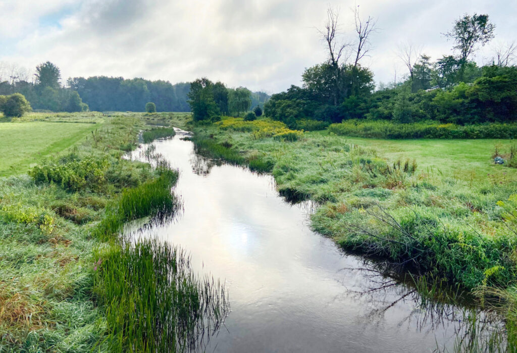Cours d'eau dans la nature