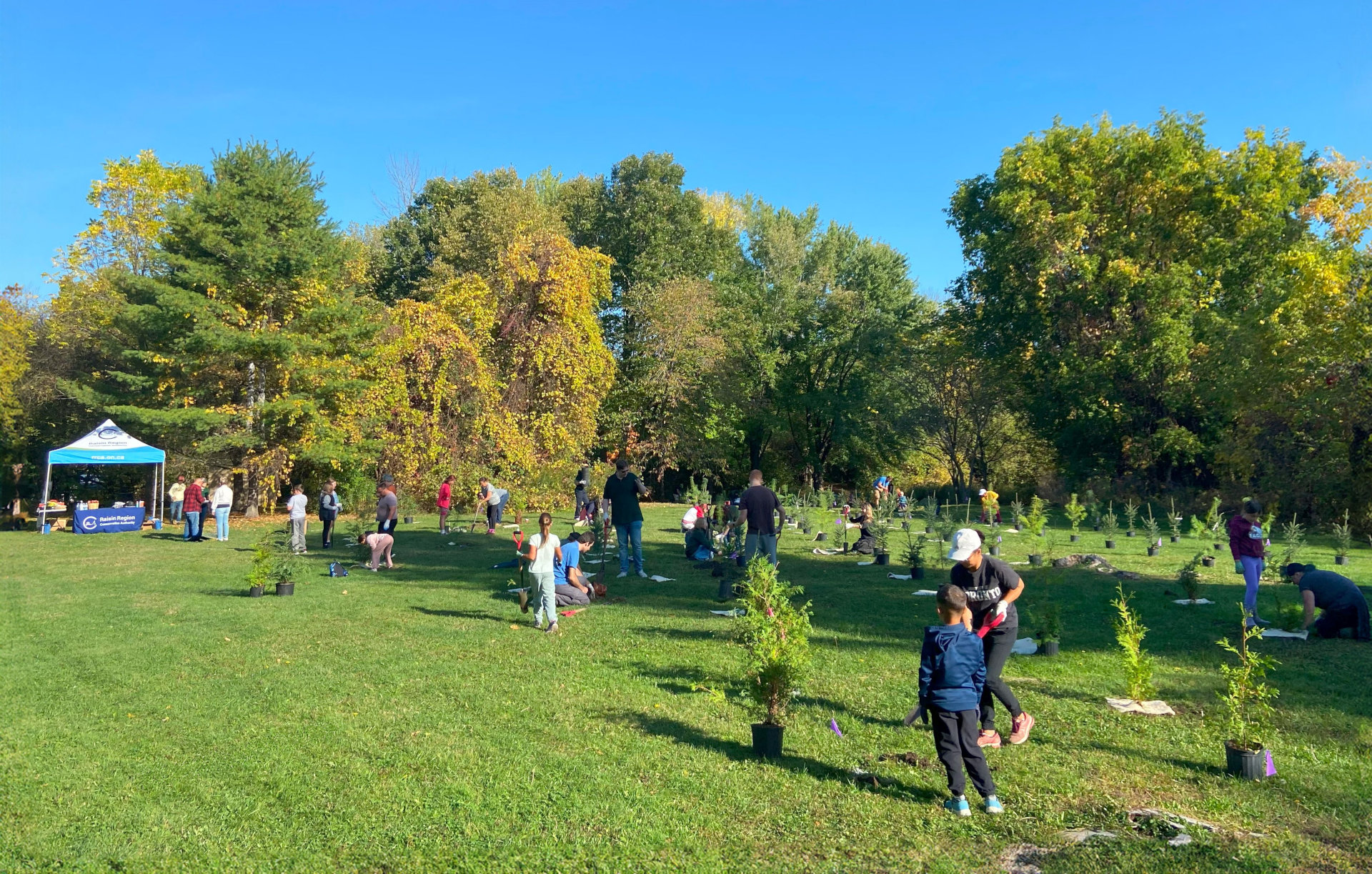 Personnes qui plante des arbres