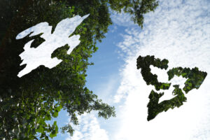 Photo montage du drapeau franco-ontarien avec un arbre et des nuages blanc dans un ciel bleu